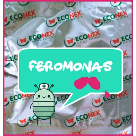 Feromonas RHAGOLETIS COMPLETA 90 DÍAS ECONEX
