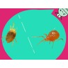 AMBLYCAcontrol 50.000 Caja 500 sobres - PLUS