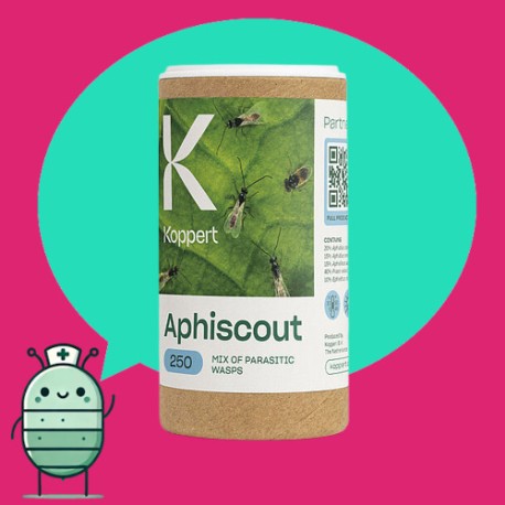 Aphiscout - mix avispas contra pulgón