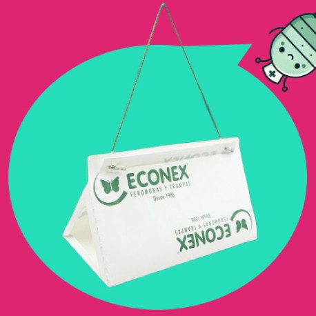 ECONEX TRIANGULAR  BLANCA DESECHABLE
