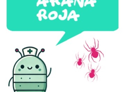 Cómo eliminar la araña roja de forma natural: control ecológico eficaz para tus 